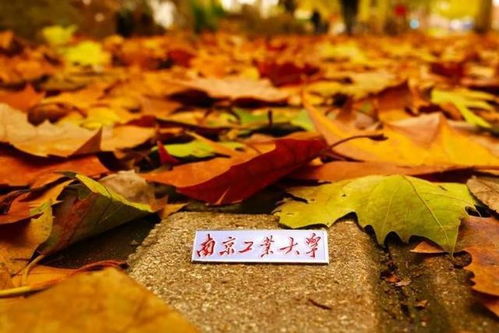 南京工業大學 百廿育才，鑄就科技與產業輝煌——慶祝建校119周年