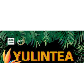 雨林金色設(shè)計圖片與舞今信息食品包裝模板下載